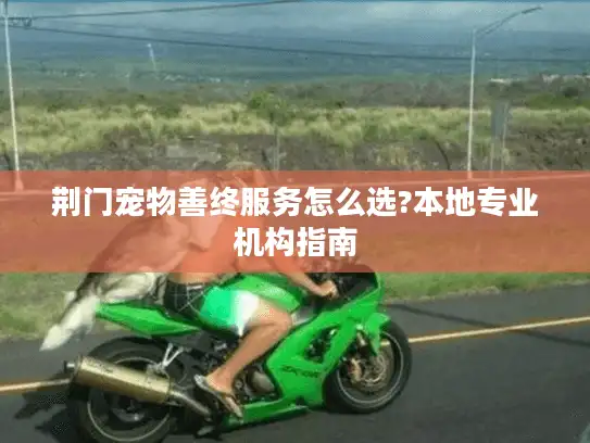 荆门宠物善终服务怎么选?本地专业机构指南