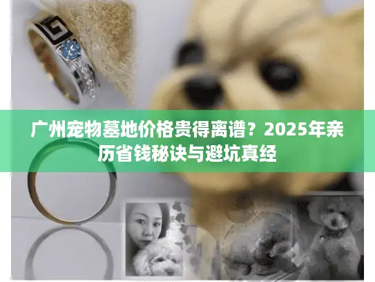 广州宠物墓地价格贵得离谱？2025年亲历省钱秘诀与避坑真经