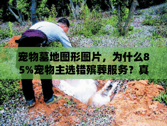 宠物墓地图形图片，为什么85%宠物主选错殡葬服务？真实照片如何帮你避坑？