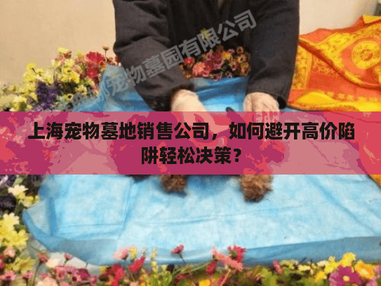 上海宠物墓地销售公司，如何避开高价陷阱轻松决策？