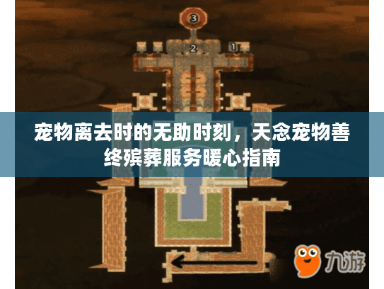 宠物离去时的无助时刻,天念宠物善终殡葬服务暖心指南 宠物离去时的无助时刻,天念宠物善终殡葬服务暖心指南