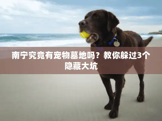 南宁究竟有宠物墓地吗?教你躲过3个隐藏大坑 南宁究竟有宠物墓地吗?教你躲过3个隐藏大坑