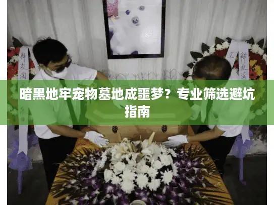 暗黑地牢宠物墓地成噩梦?专业筛选避坑指南 暗黑地牢宠物墓地成噩梦?专业筛选避坑指南