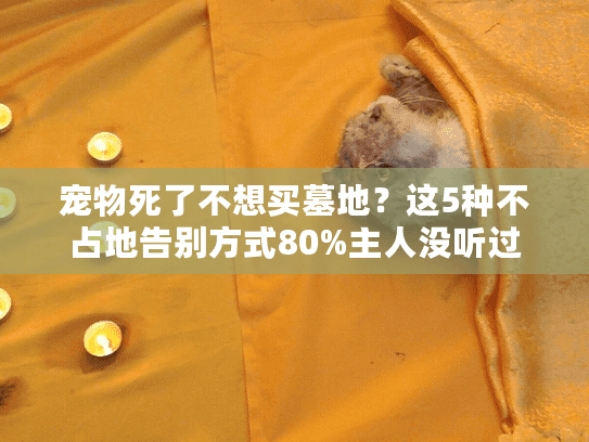 宠物死了不想买墓地？这5种不占地告别方式80%主人没听过