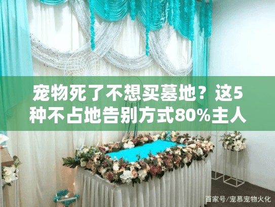 宠物死了不想买墓地？这5种不占地告别方式80%主人没听过