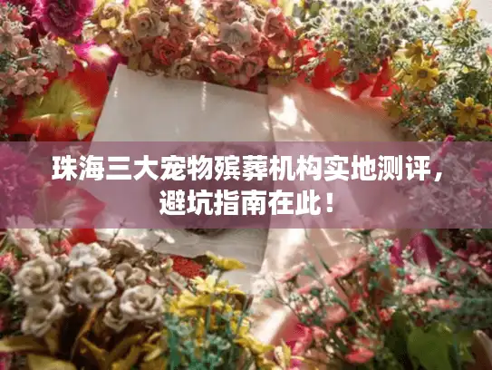 珠海三大宠物殡葬机构实地测评,避坑指南在此! 珠海三大宠物殡葬机构实地测评,避坑指南在此!