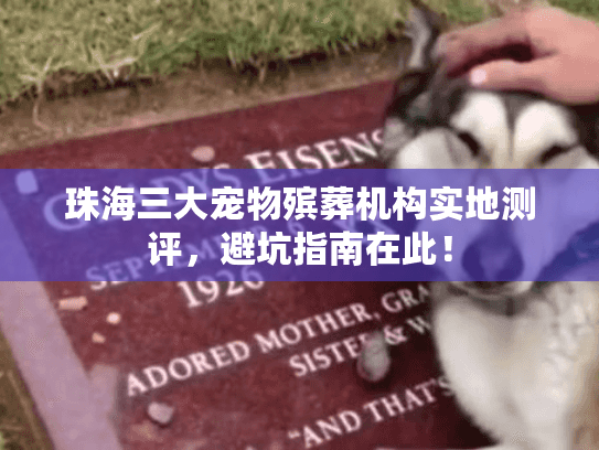 珠海三大宠物殡葬机构实地测评,避坑指南在此! 珠海三大宠物殡葬机构实地测评,避坑指南在此!