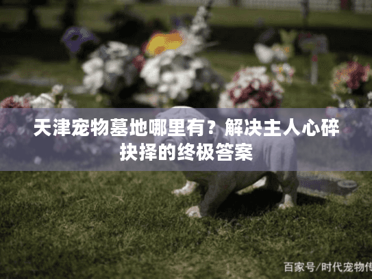 天津宠物墓地哪里有？解决主人心碎抉择的终极答案