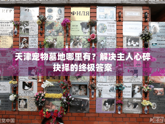 天津宠物墓地哪里有？解决主人心碎抉择的终极答案