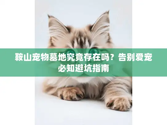 鞍山宠物墓地究竟存在吗？告别爱宠必知避坑指南