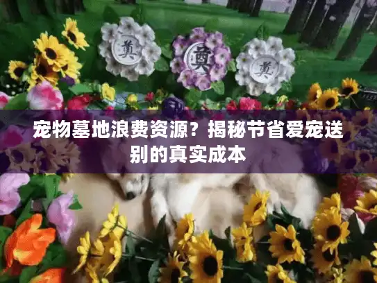 宠物墓地浪费资源？揭秘节省爱宠送别的真实成本