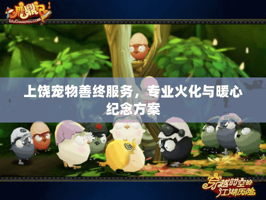 上饶宠物善终服务，专业火化与暖心纪念方案