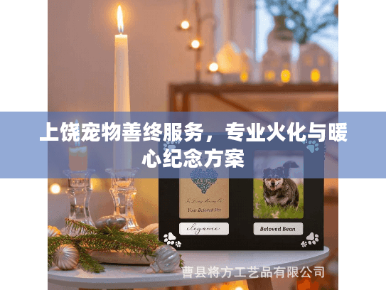 上饶宠物善终服务，专业火化与暖心纪念方案