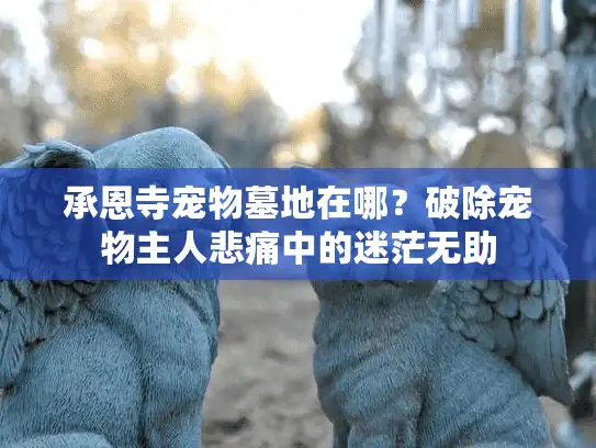 承恩寺宠物墓地在哪？破除宠物主人悲痛中的迷茫无助