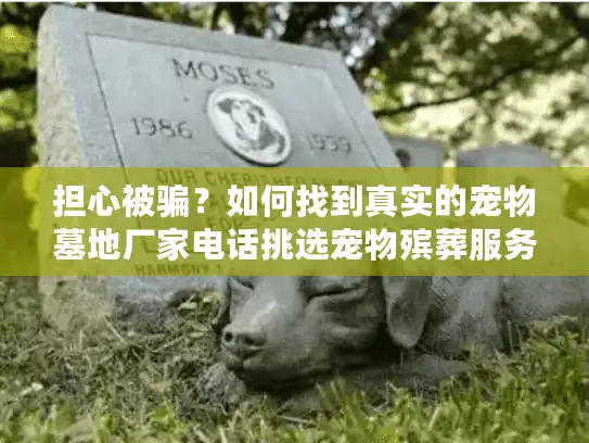 担心被骗?如何找到真实的宠物墓地厂家电话挑选宠物殡葬服务 担心被骗?如何找到真实的宠物墓地厂家电话挑选宠物殡葬服务