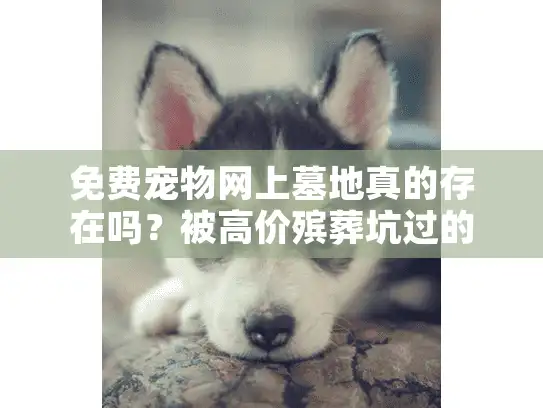 免费宠物网上墓地真的存在吗?被高价殡葬坑过的家长亲测避坑指南 免费宠物网上墓地真的存在吗?被高价殡葬坑过的家长亲测避坑指南