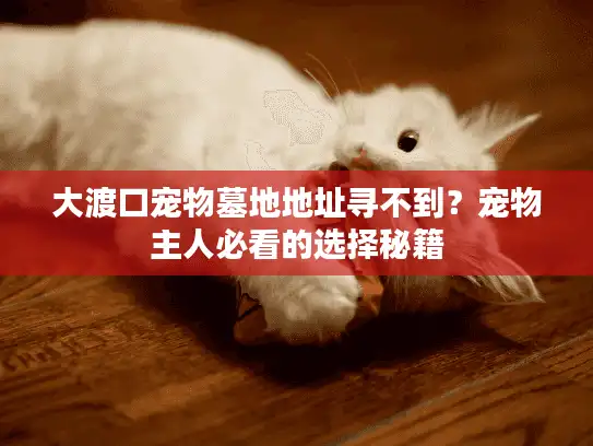 大渡口宠物墓地地址寻不到?宠物主人必看的选择秘籍 大渡口宠物墓地地址寻不到?宠物主人必看的选择秘籍