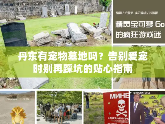 丹东有宠物墓地吗？告别爱宠时别再踩坑的贴心指南