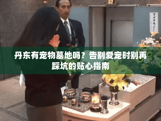 丹东有宠物墓地吗？告别爱宠时别再踩坑的贴心指南