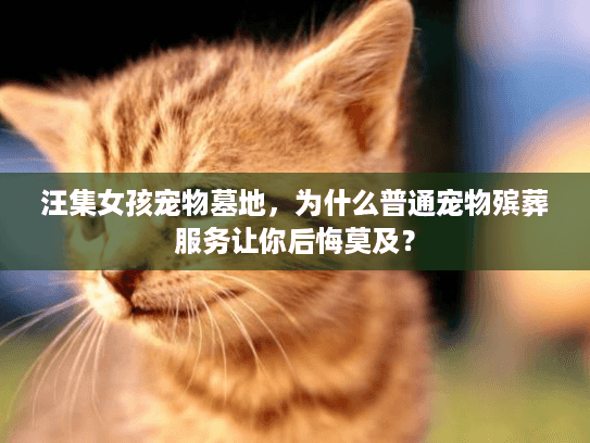 汪集女孩宠物墓地，为什么普通宠物殡葬服务让你后悔莫及？