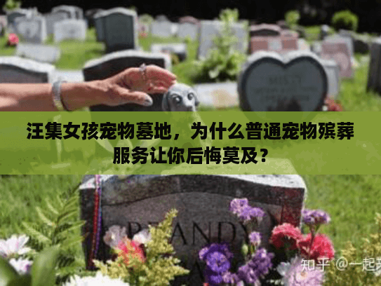 汪集女孩宠物墓地，为什么普通宠物殡葬服务让你后悔莫及？