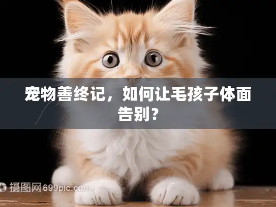 宠物善终记，如何让毛孩子体面告别？