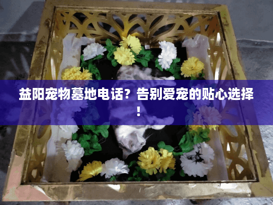 益阳宠物墓地电话？告别爱宠的贴心选择！