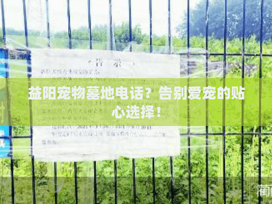 益阳宠物墓地电话？告别爱宠的贴心选择！