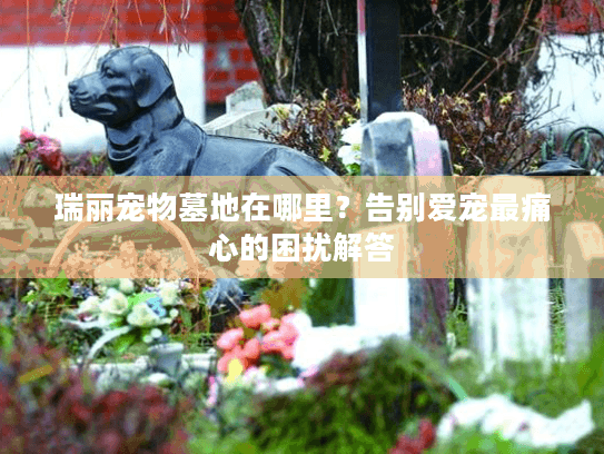 瑞丽宠物墓地在哪里?告别爱宠最痛心的困扰解答 瑞丽宠物墓地在哪里?告别爱宠最痛心的困扰解答