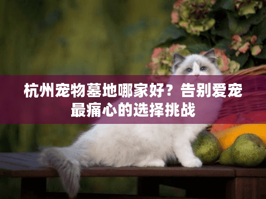 杭州宠物墓地哪家好？告别爱宠最痛心的选择挑战