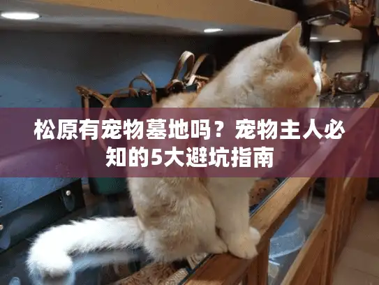 松原有宠物墓地吗？宠物主人必知的5大避坑指南