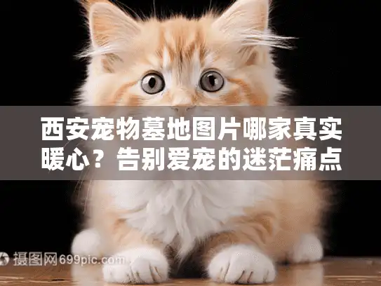 西安宠物墓地图片哪家真实暖心?告别爱宠的迷茫痛点破解 西安宠物墓地图片哪家真实暖心?告别爱宠的迷茫痛点破解