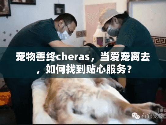 宠物善终cheras，当爱宠离去，如何找到贴心服务？