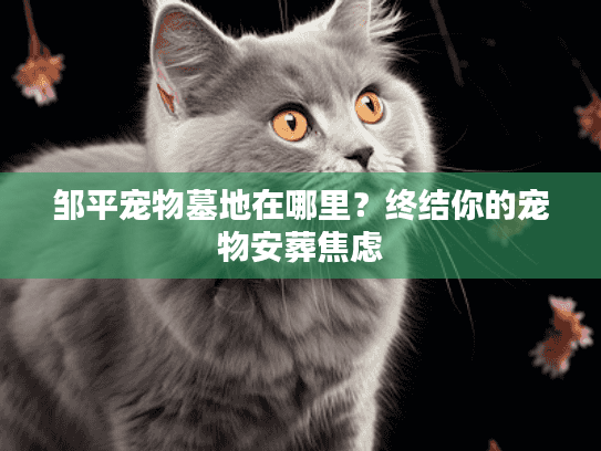 邹平宠物墓地在哪里？终结你的宠物安葬焦虑