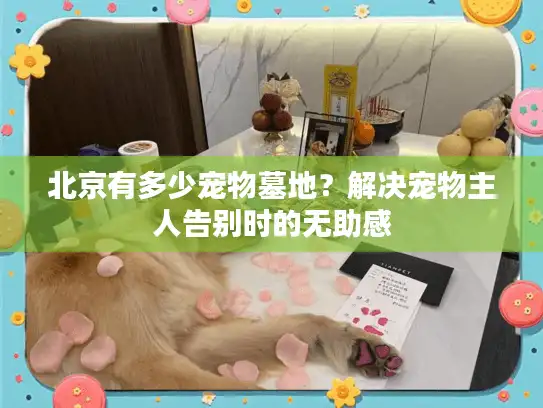 北京有多少宠物墓地?解决宠物主人告别时的无助感 北京有多少宠物墓地?解决宠物主人告别时的无助感