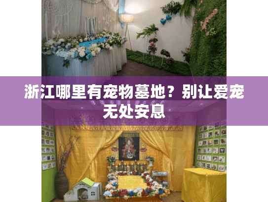 浙江哪里有宠物墓地?别让爱宠无处安息 浙江哪里有宠物墓地?别让爱宠无处安息