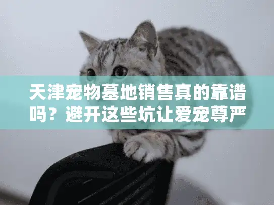 天津宠物墓地销售真的靠谱吗？避开这些坑让爱宠尊严安息