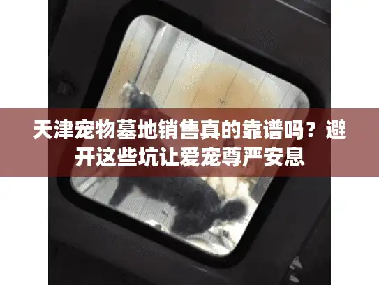 天津宠物墓地销售真的靠谱吗？避开这些坑让爱宠尊严安息