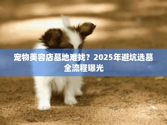 宠物美容店墓地难找？2025年避坑选墓全流程曝光