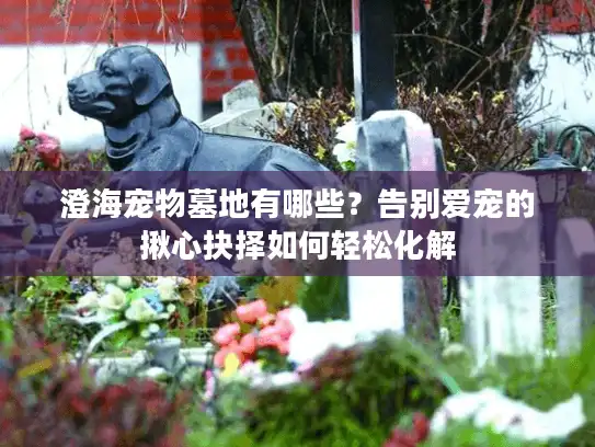 澄海宠物墓地有哪些?告别爱宠的揪心抉择如何轻松化解 澄海宠物墓地有哪些?告别爱宠的揪心抉择如何轻松化解