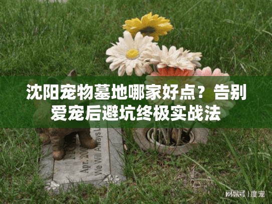 沈阳宠物墓地哪家好点?告别爱宠后避坑终极实战法 沈阳宠物墓地哪家好点?告别爱宠后避坑终极实战法