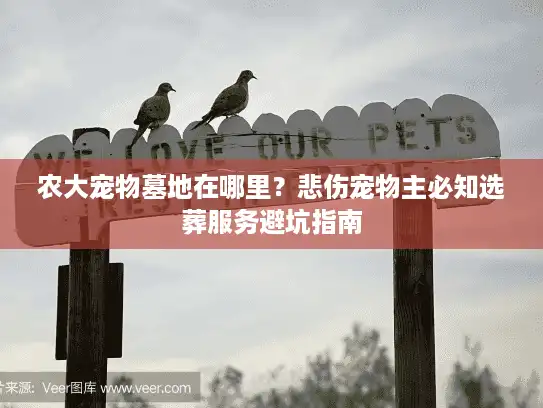 农大宠物墓地在哪里？悲伤宠物主必知选葬服务避坑指南
