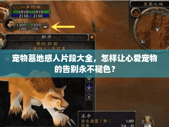 宠物墓地感人片段大全,怎样让心爱宠物的告别永不褪色? 宠物墓地感人片段大全,怎样让心爱宠物的告别永不褪色?