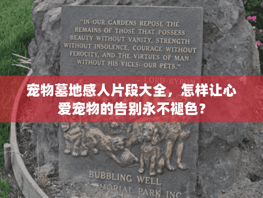 宠物墓地感人片段大全,怎样让心爱宠物的告别永不褪色? 宠物墓地感人片段大全,怎样让心爱宠物的告别永不褪色?