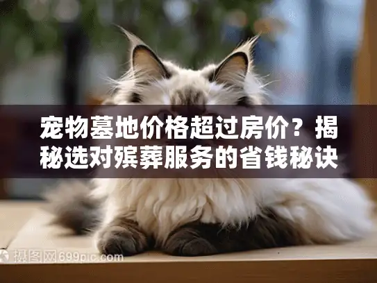 宠物墓地价格超过房价？揭秘选对殡葬服务的省钱秘诀