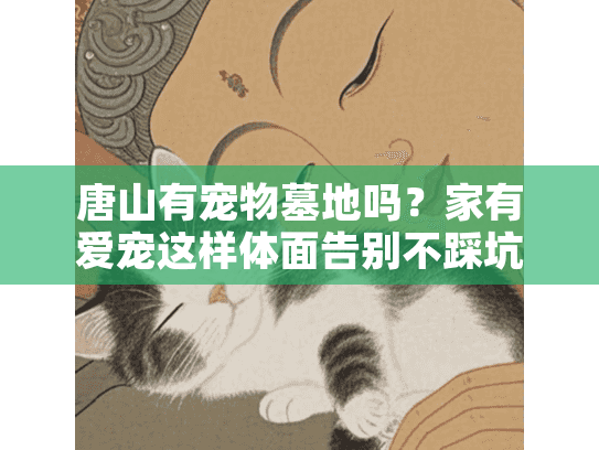 唐山有宠物墓地吗？家有爱宠这样体面告别不踩坑