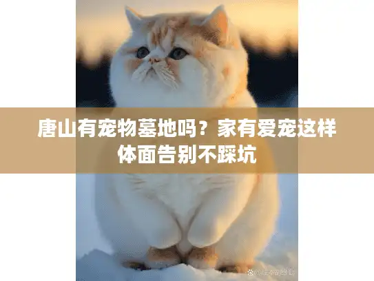 唐山有宠物墓地吗？家有爱宠这样体面告别不踩坑