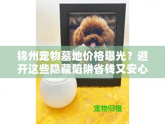 锦州宠物墓地价格曝光？避开这些隐藏陷阱省钱又安心