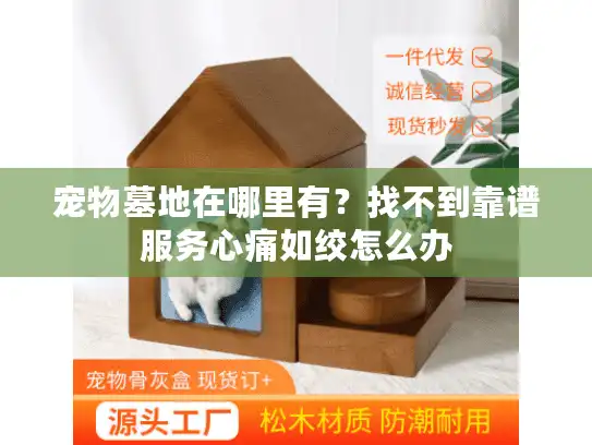 宠物墓地在哪里有？找不到靠谱服务心痛如绞怎么办