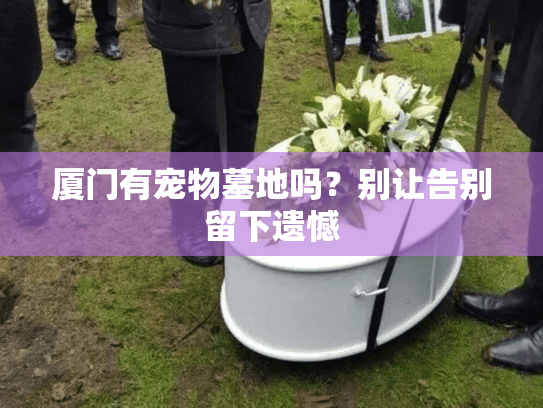 厦门有宠物墓地吗？别让告别留下遗憾